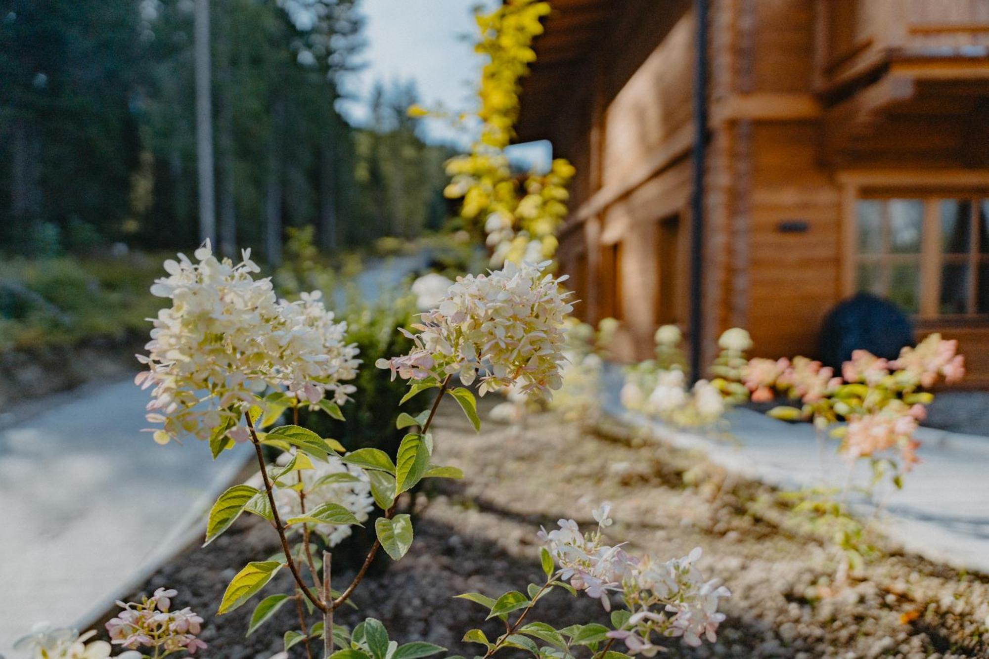 Sissi'S Green Chalets Leutasch Exterior foto